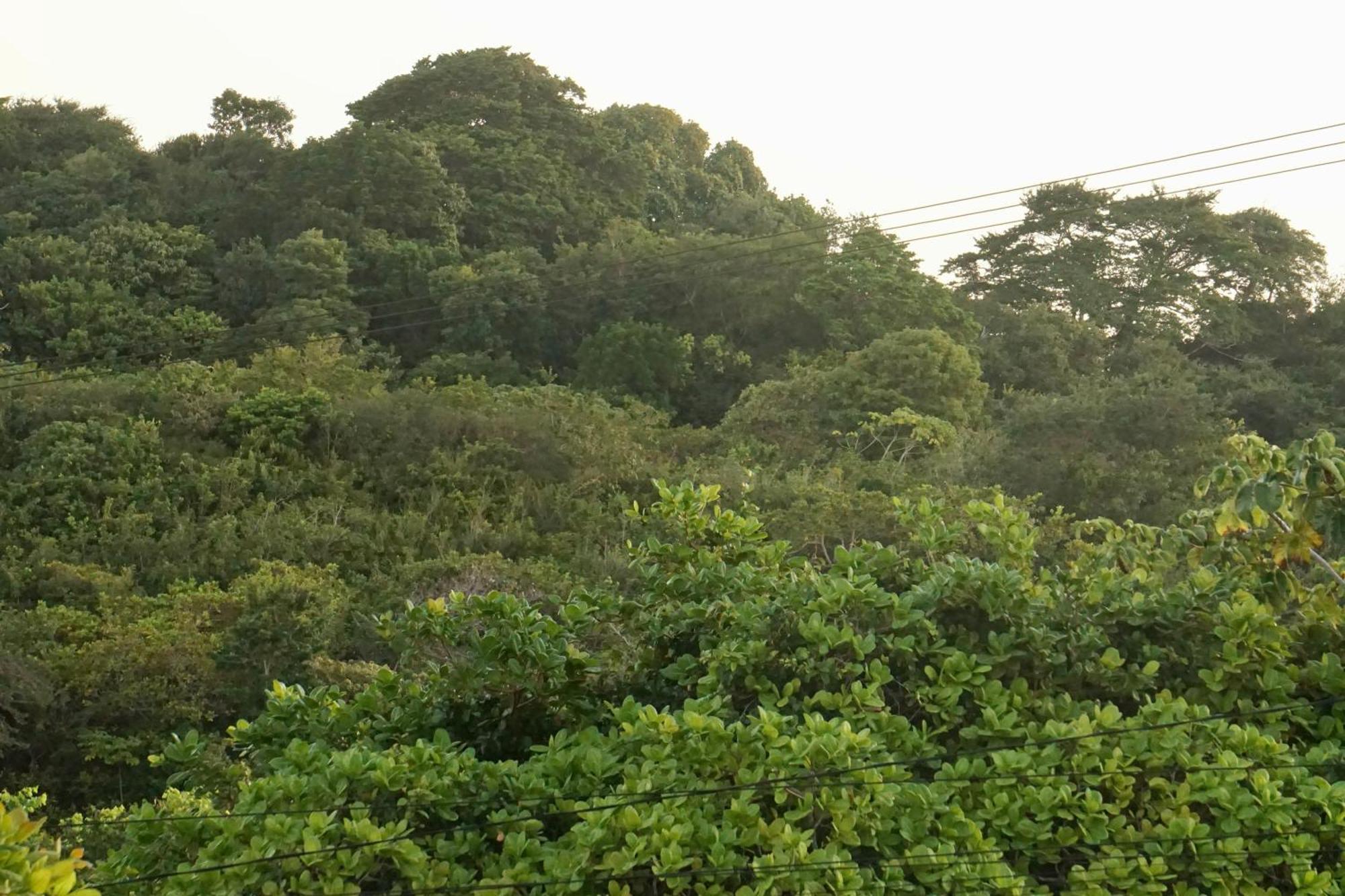 Chales Tucano Praia Da Pipa - Natureza, Conforto, Tranquilidade Praia de Pipa 외부 사진